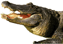 This year's mascot, which ate last year's 
mascot