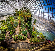 Crystal Bridge Conservatory